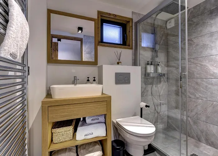 Silver Forest Шамоні