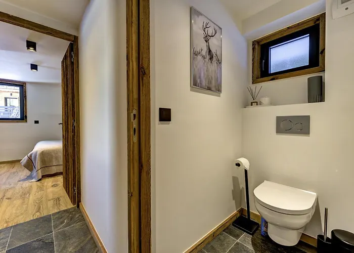 Silver Forest Chamonix